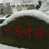 冬天的雪的头像
