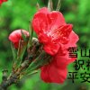忆～童年的头像