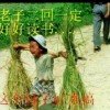 平安就是福的头像