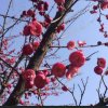 爱歌的头像