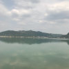小河弯弯的头像