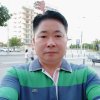自由飞翔的头像