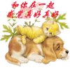 缘的头像