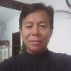 杨柳风的头像
