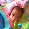 陆婉娣的头像