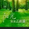 忘忧草的头像