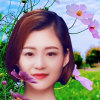 星月的头像
