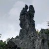 随风飘的头像