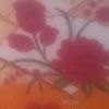 花开四季的头像