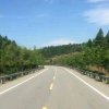 北方狼的头像