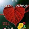 简单云彩的头像
