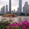 丝路花语的头像