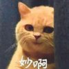 画中城。的头像