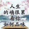 梦海之巅的头像