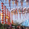 走遍天下，光海的头像