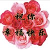 好运来的头像