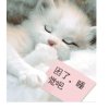 竹林～小鱼的头像