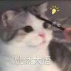 别哭脏我的坟的头像