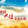 扬帆启航的头像