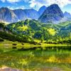 青山绿水的头像