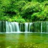 琴佳音的头像