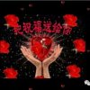 yilin的头像