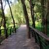 饮尽风声的头像