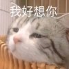 鶴山的头像