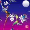 静姨的头像