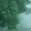 江南烟雨的头像