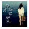 谁懂我的头像