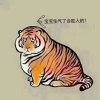 伴的头像