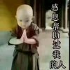 陈真的头像