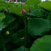 70后的头像