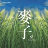 君芳家族一粒麦子的头像
