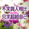 葡萄皮 的头像