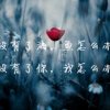 诺诺的头像