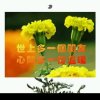 白雪菲儿的头像