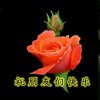 相伴今生的头像