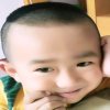 胡杨的头像