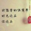 风景与谁赏的头像