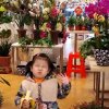 心月的头像