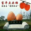 雾里看花的头像
