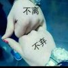 不离不弃的头像