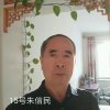 老树常青的头像