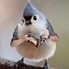 独守一人心☞ 的头像
