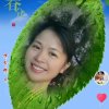 梅子的头像
