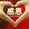 阳光总在风雨前的头像