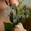永不放弃的头像