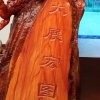 漫步人生的头像